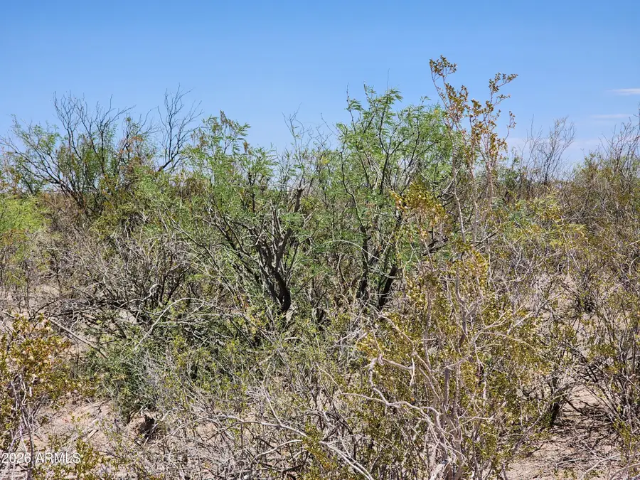 lot b Bowers Road #21, Huachuca City, AZ 85616 - #2