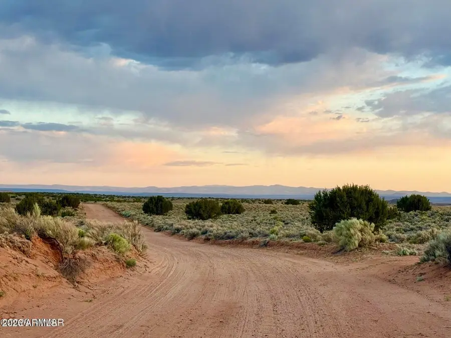 TBD Co Rd N7120 40 Acres --, Saint Johns, AZ 85936 - #2