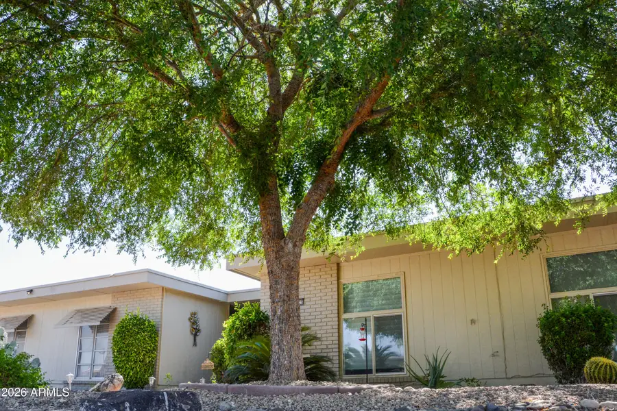 13625 N 109th Avenue, Sun City, AZ 85351 - #3