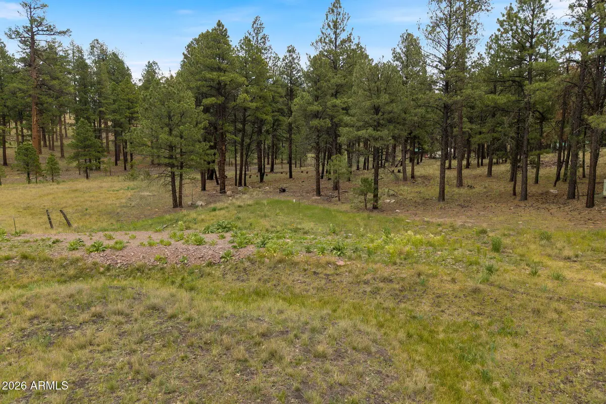 TBD County Rd 2121 --, Alpine, AZ 85920 - #1