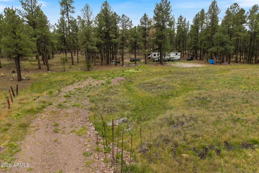 TBD County Rd 2121 --, Alpine, AZ 85920 - #2