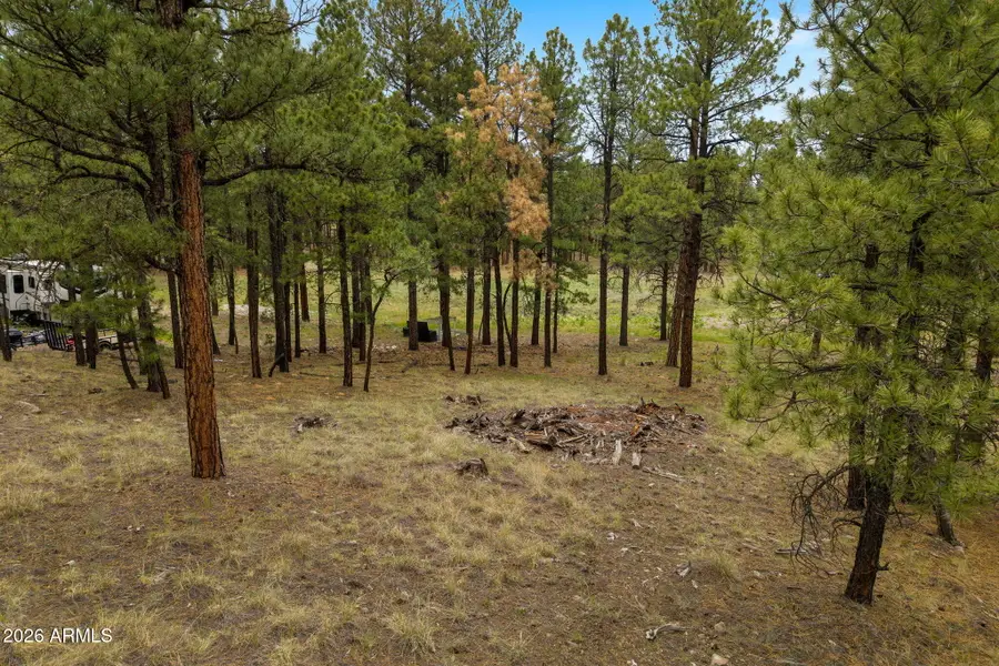 TBD County Rd 2121 --, Alpine, AZ 85920 - #3