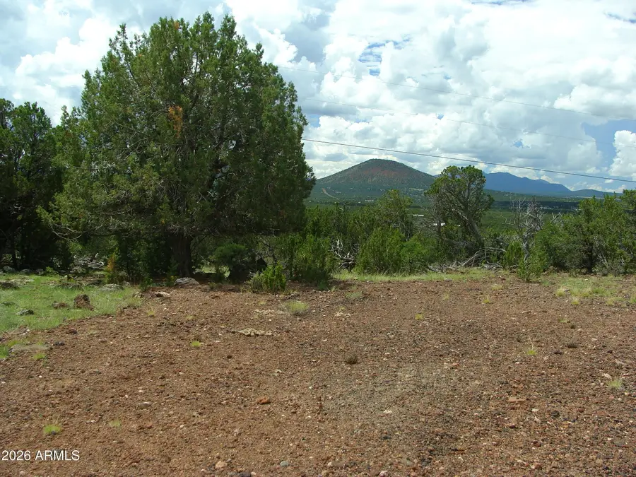 000 W Calle Adan -- #4992, Seligman, AZ 86337 - #3