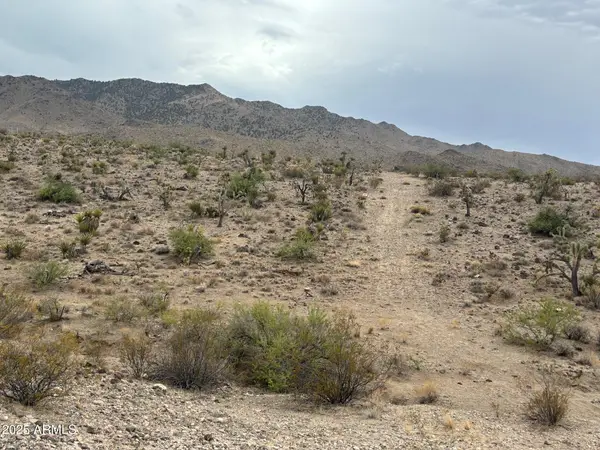 000 N Mohave Drive #48, Dolan Springs, AZ 86441