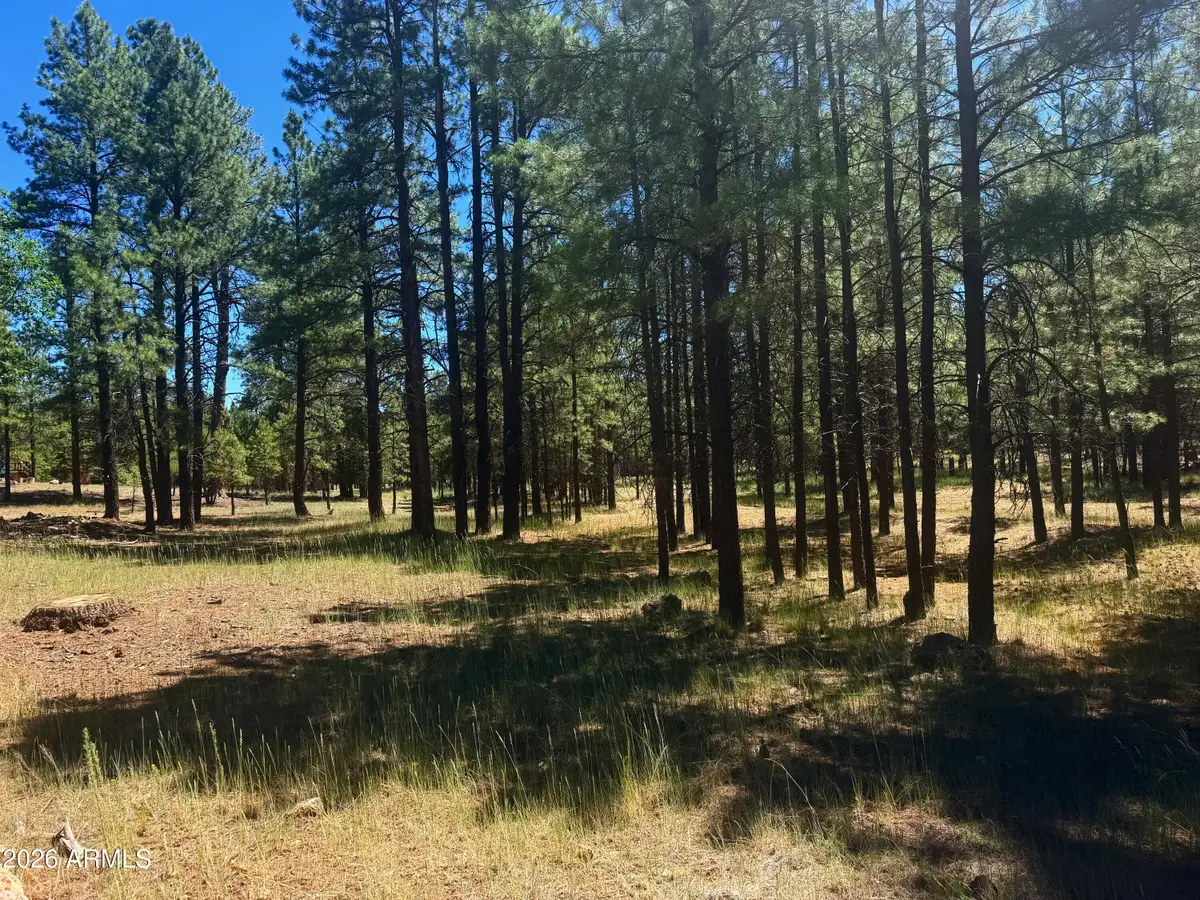2124 Antelope Way #484, Happy Jack, AZ 86024 - #1