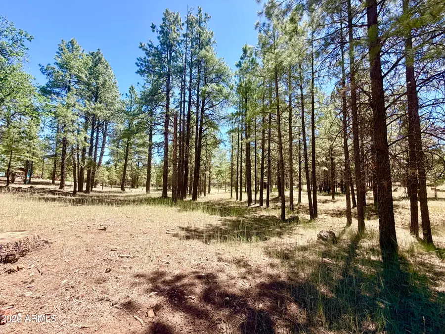 2124 Antelope Way #484, Happy Jack, AZ 86024 - #2
