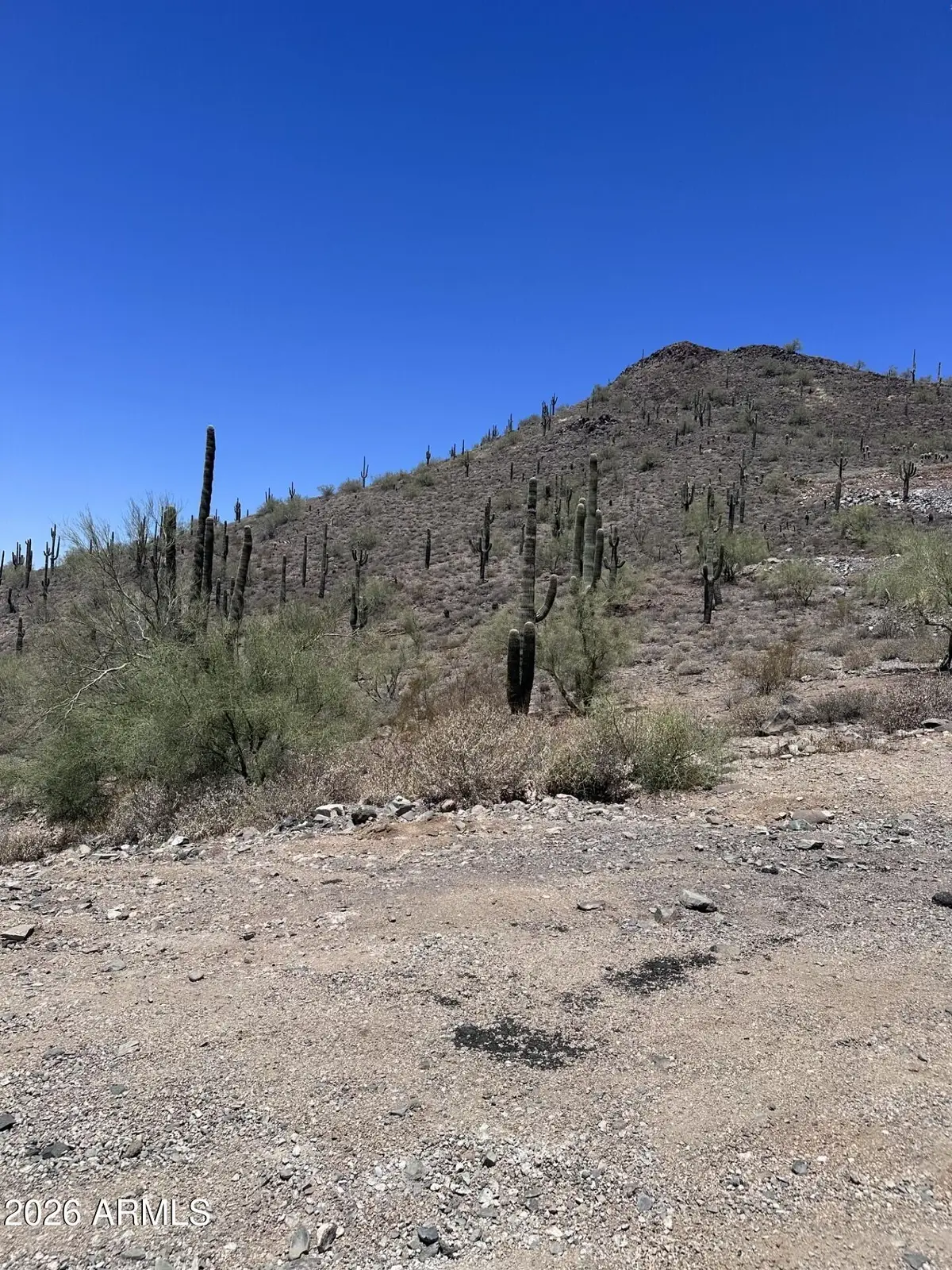 37904 N 34th Avenue, Phoenix, AZ 85086 - #1