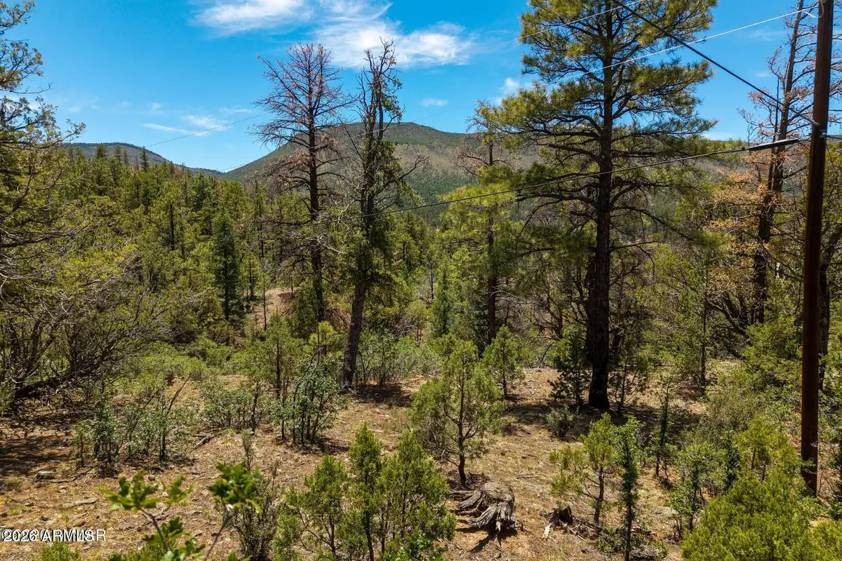 34 County Road 2279 -- #34, Nutrioso, AZ 85932 - #1