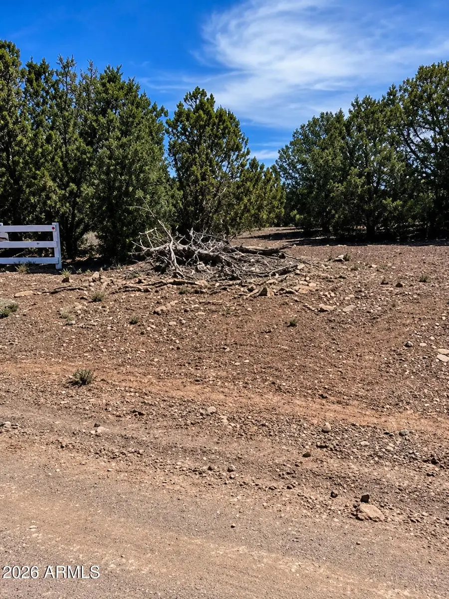 10329 N Saint Francis Avenue #48, Williams, AZ 86046 - #2