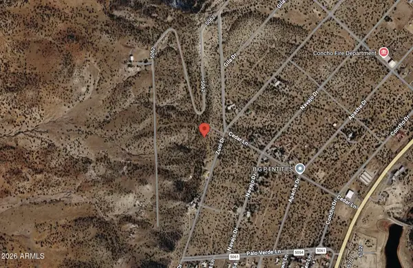 76 Acr 5060 Road #2, Concho, AZ 85924
