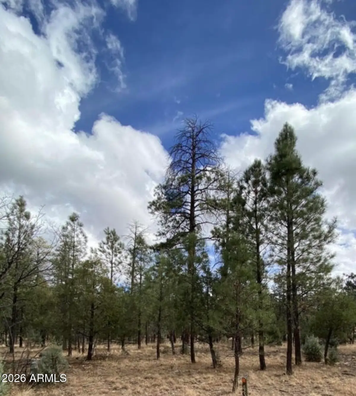 4395 Jack Pine Place #146, Happy Jack, AZ 86024 - #1
