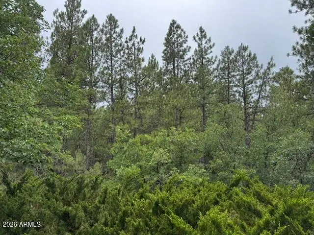 17270 Grizzly Ridge Road, Munds Park, AZ 86017 - #2