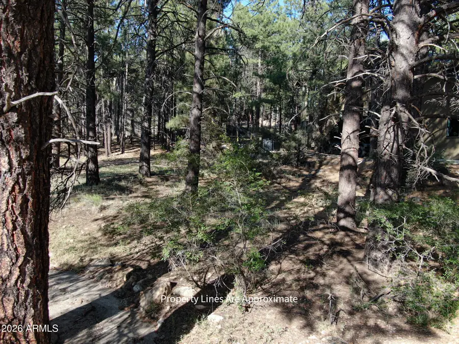 4405 E Dreamy Lane #42, Flagstaff, AZ 86004 - #2