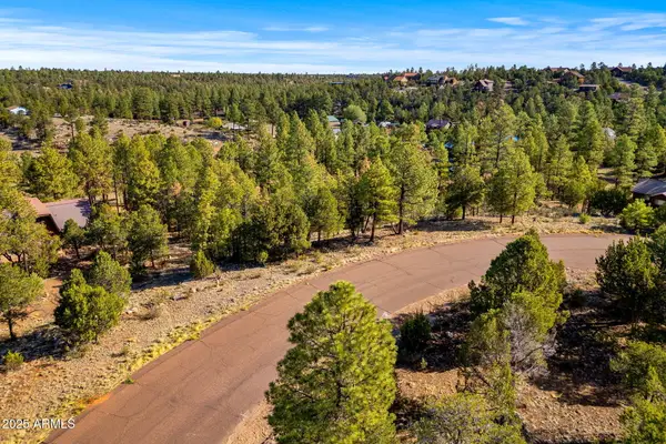 2794 Skyhawk Drive #140, Overgaard, AZ 85933