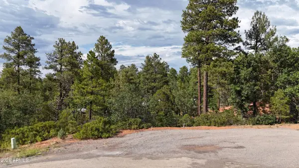 7026 Leo Lane #25, Lakeside, AZ 85929