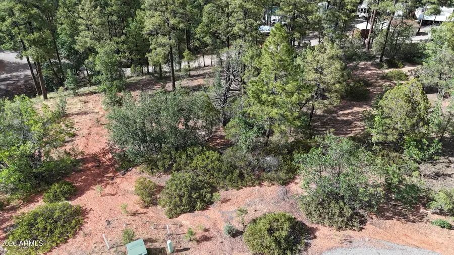 7026 Leo Lane #25, Lakeside, AZ 85929 - #2