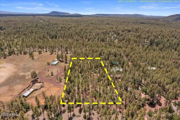 1431 S Hill Drive, Pinetop, AZ 85935
