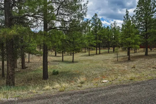 2799 Cherokee Way #381, Happy Jack, AZ 86024