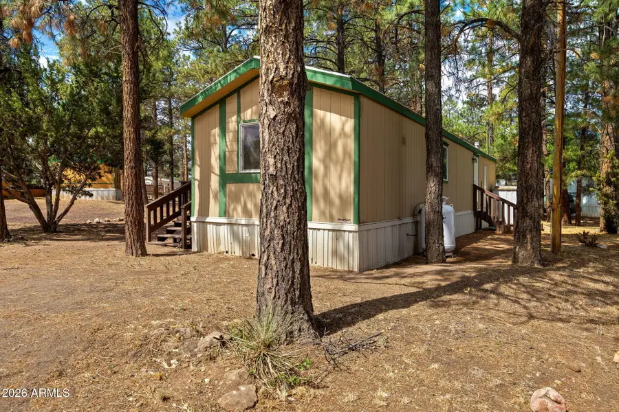 2175 Ruby Lane, Overgaard, AZ 85933 - #3