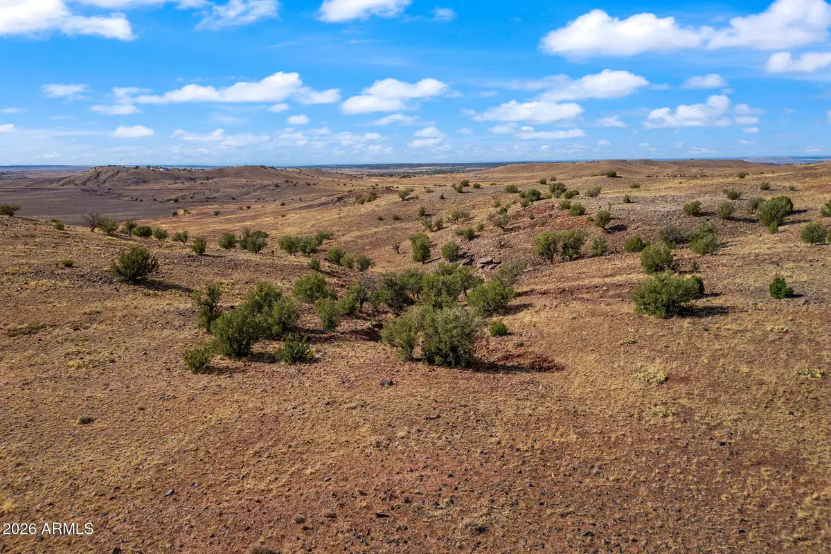 TBD N8491 --, Concho, AZ 85924 - #1