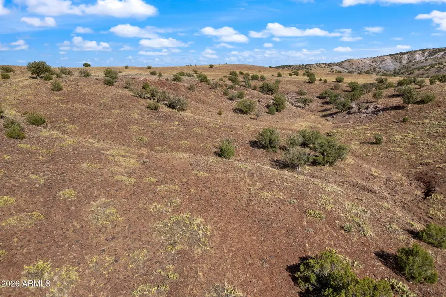 TBD N8491 --, Concho, AZ 85924 - #2