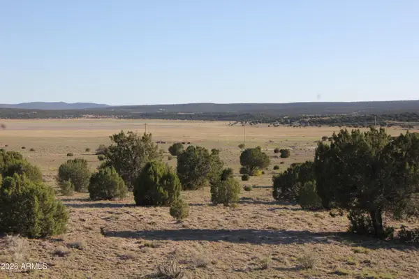 8500 Tbd County Road 8500 Road #43, Concho, AZ 85924