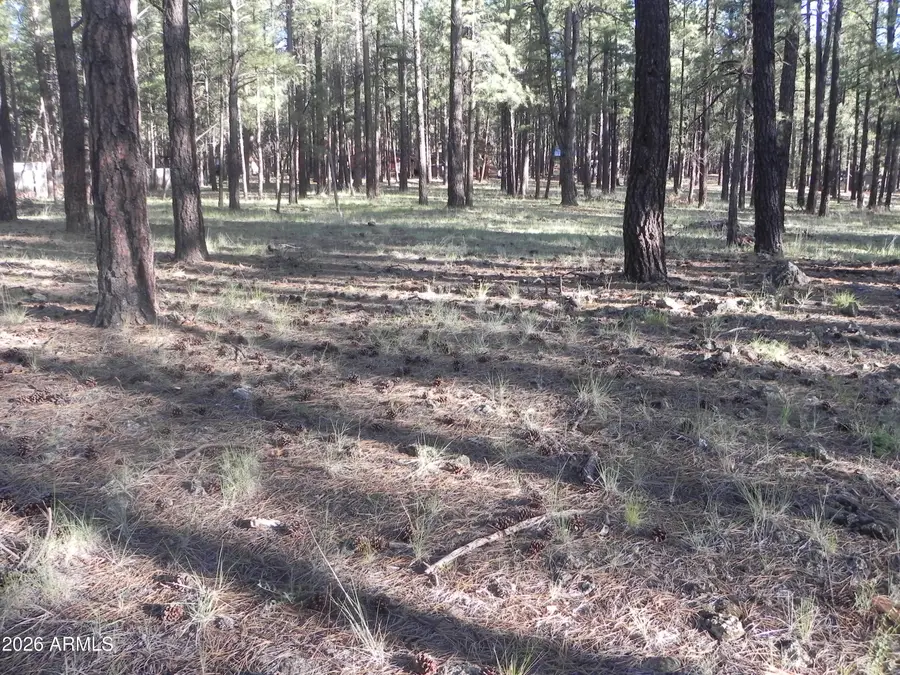 7606 E Jolly Rogue Lane #162, Williams, AZ 86046 - #2