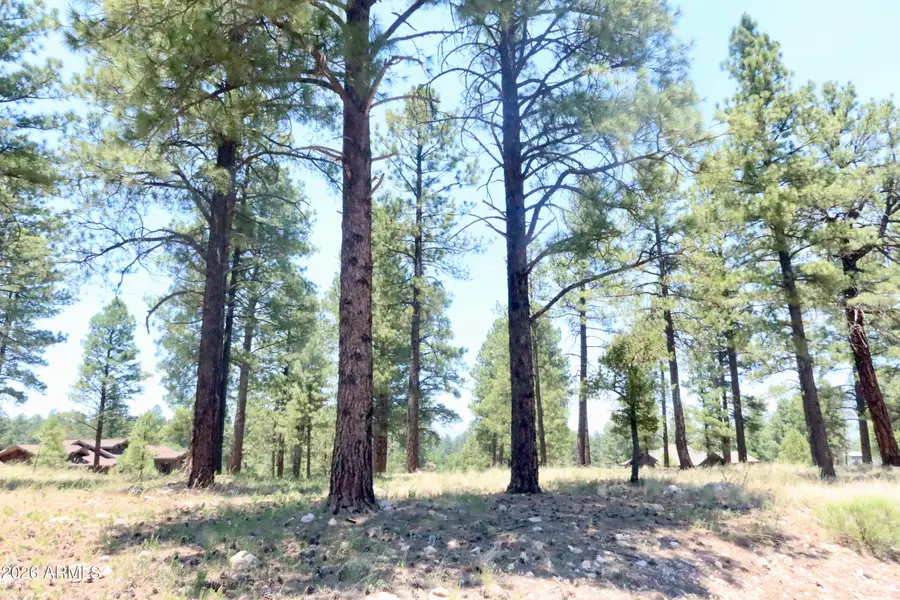 3235 S Tehama Circle #105-10-066, Flagstaff, AZ 86005 - #2
