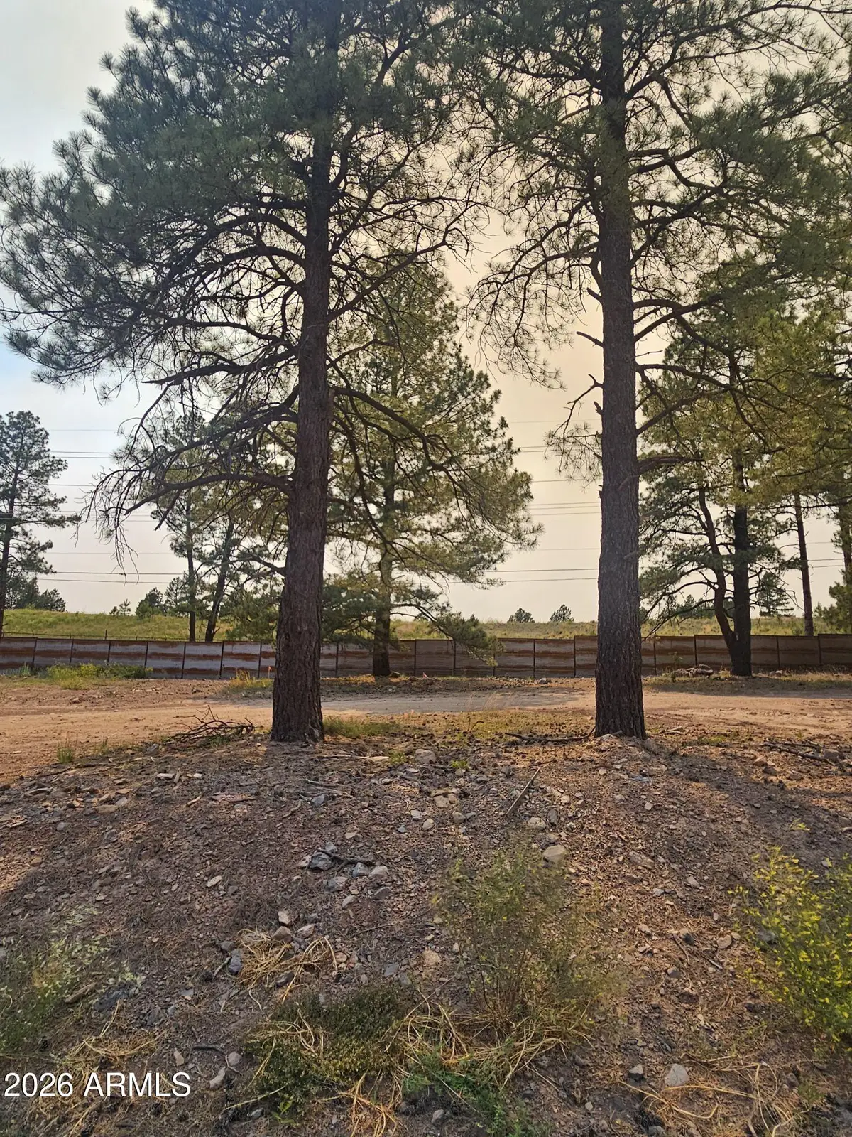 2130 Shaded Spring Trail, Flagstaff, AZ 86005 - #1