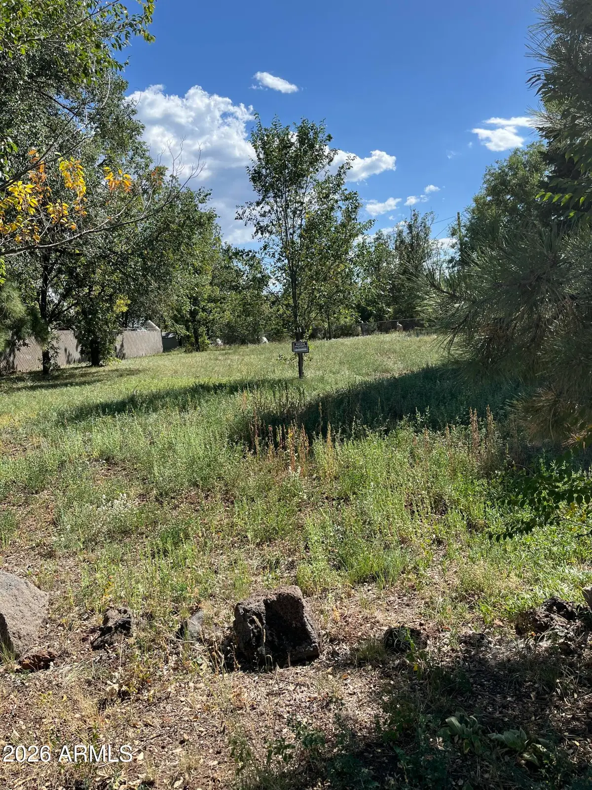 00xx W Navajo Lane #151, Pinetop Lakeside, AZ 85929 - #1
