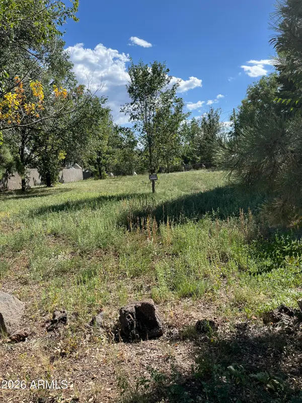 00xx W Navajo Lane #151, Pinetop-Lakeside, AZ 85929