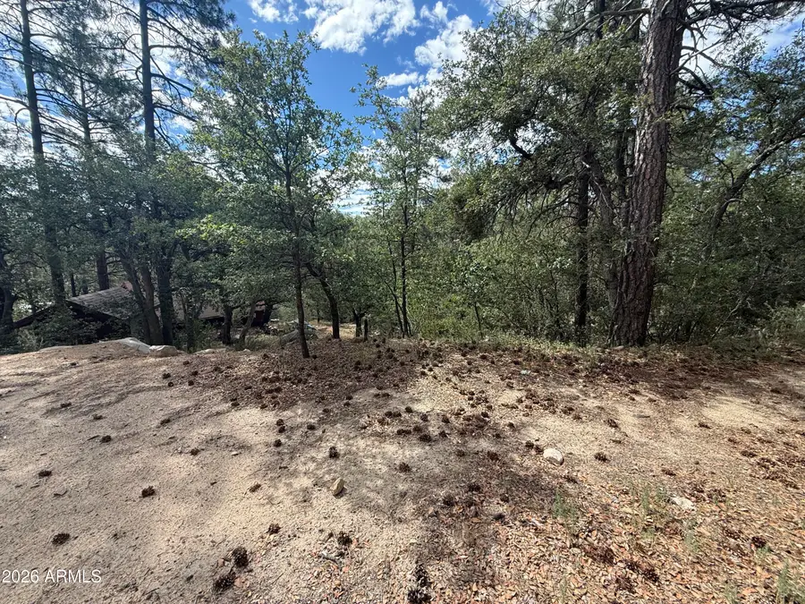 23441 S Van Lane #49, Crown King, AZ 86343 - #3