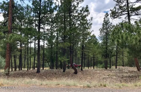 2526 Well Water Road #322, Happy Jack, AZ 86024