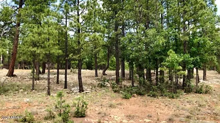 2526 Well Water Road #322, Happy Jack, AZ 86024 - #2
