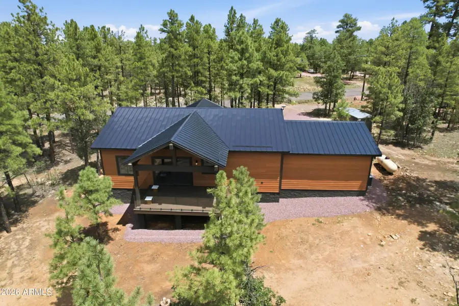 3847 Apache Drive, Happy Jack, AZ 86024 - #2