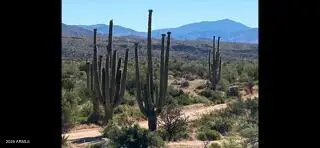 14027 E Hawknest Road, Scottsdale, AZ 85262 - #3