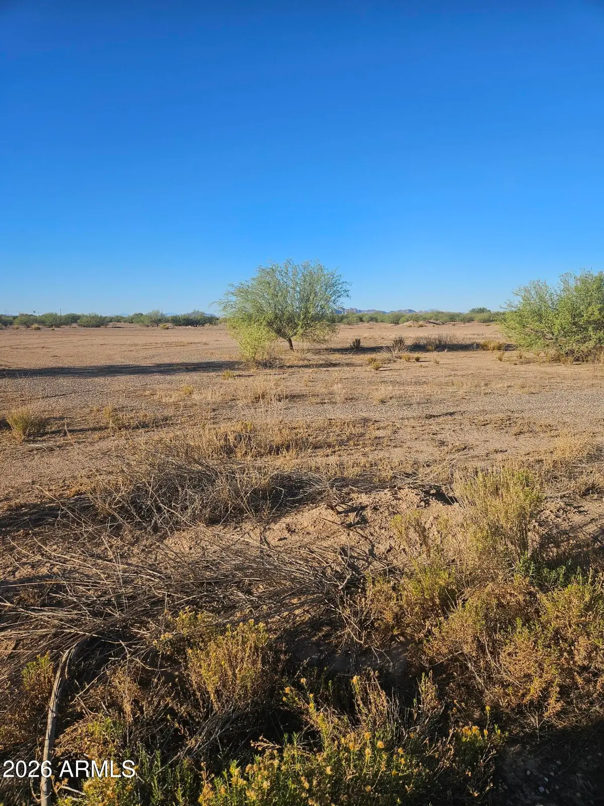 11503 W Tubac Drive #1005, Arizona City, AZ 85123 - #1