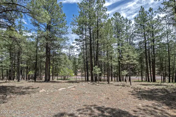 2132 W Pine Valley Road, Happy Jack, AZ 86024