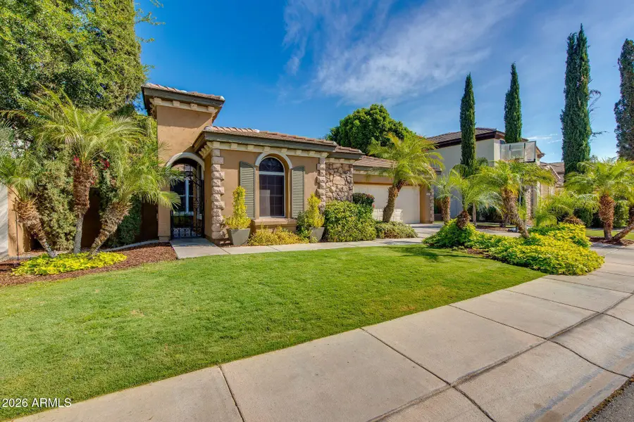 904 E Mead Drive, Chandler, AZ 85249 - #3