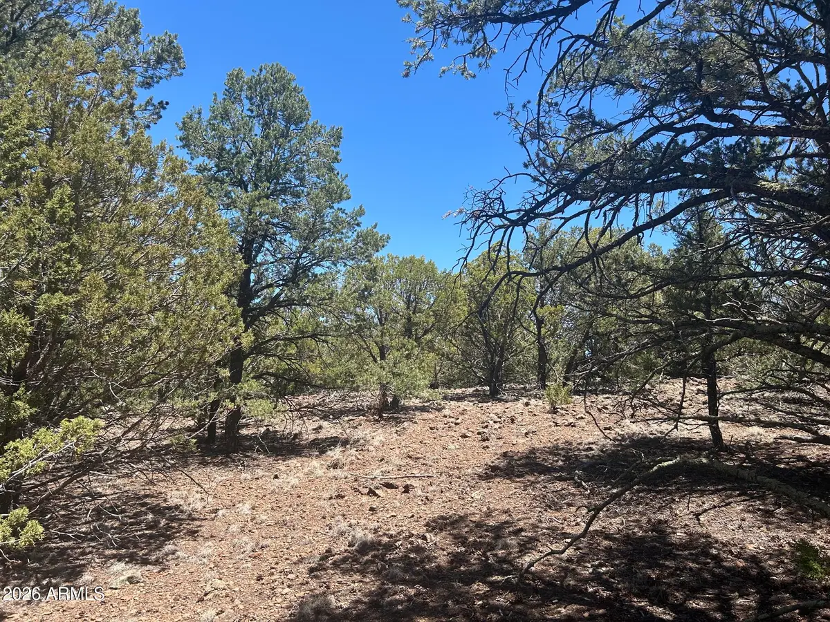 TBD Lot 37k -- #037K, Vernon, AZ 85940 - #1