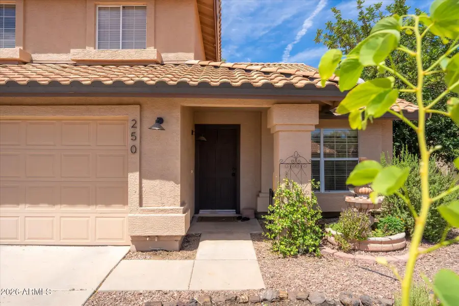 250 S Sean Drive, Chandler, AZ 85224 - #3