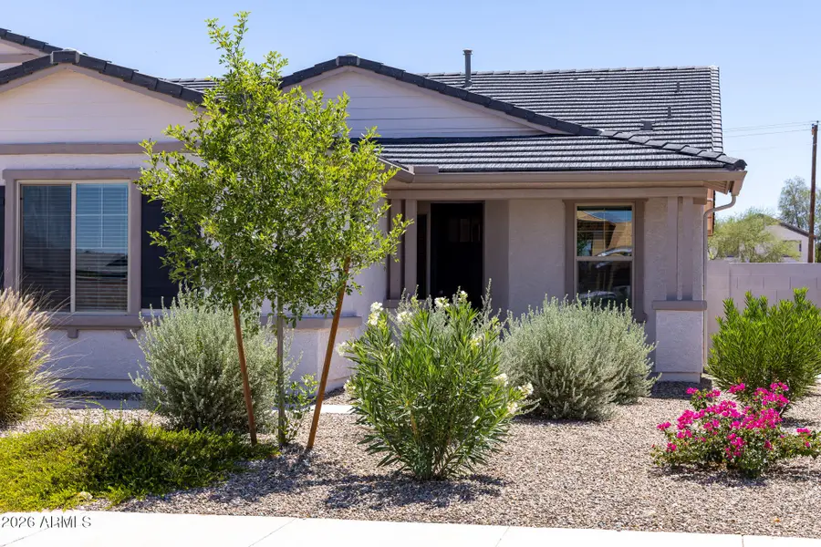 18823 N Avelino Drive, Maricopa, AZ 85138 - #3