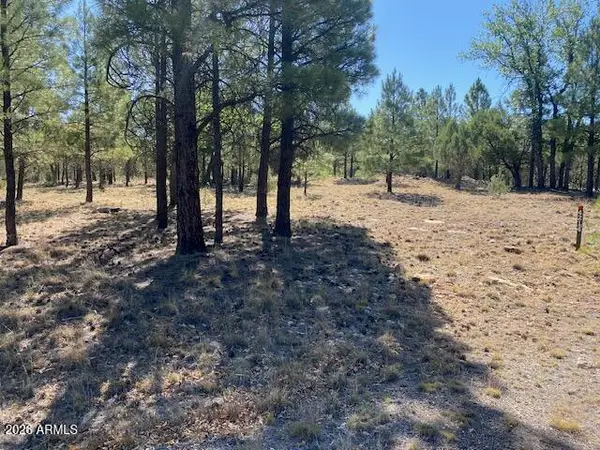 4214 Juniper Drive #46, Happy Jack, AZ 86024