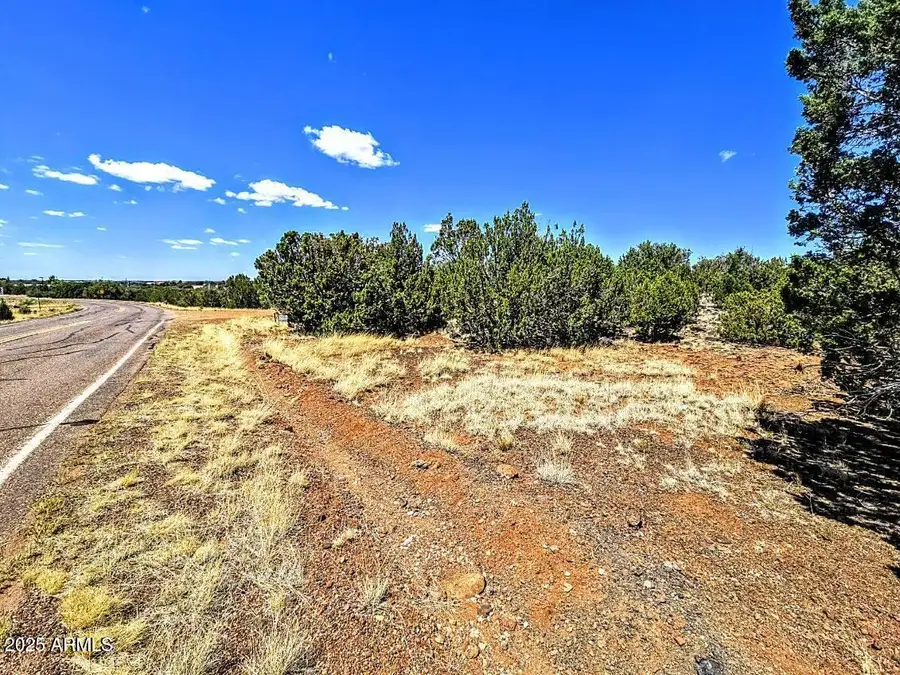 8426 Silver Creek Drive #1, Show Low, AZ 85901 - #3