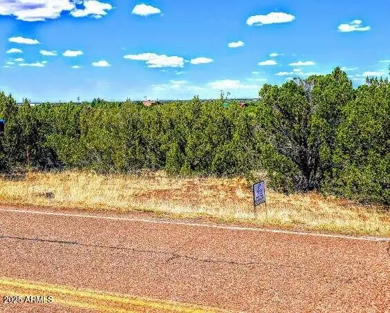 8546 Silver Creek Drive #44, Show Low, AZ 85901 - #2