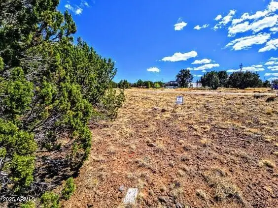 8546 Silver Creek Drive #44, Show Low, AZ 85901 - #3