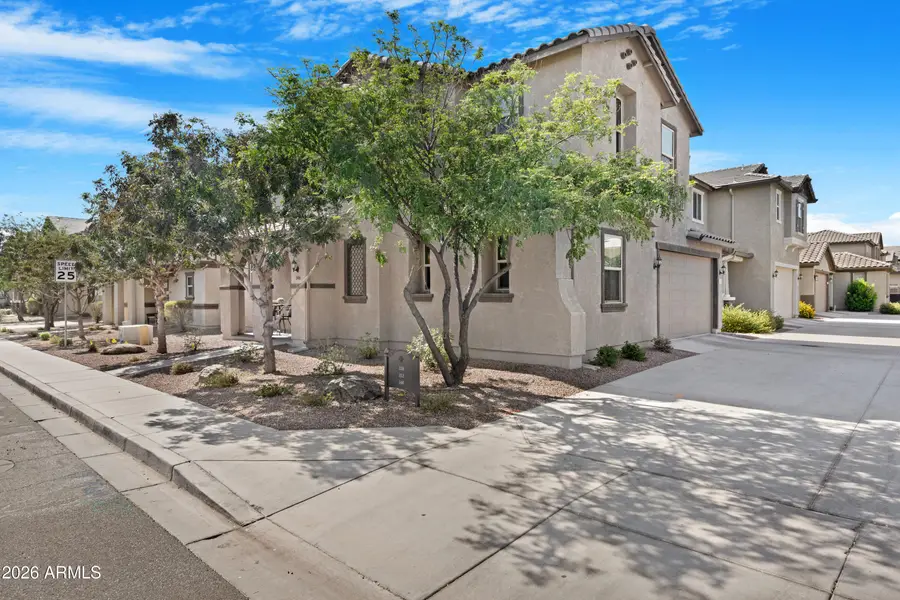 146 E Bluejay Drive, Chandler, AZ 85286 - #3