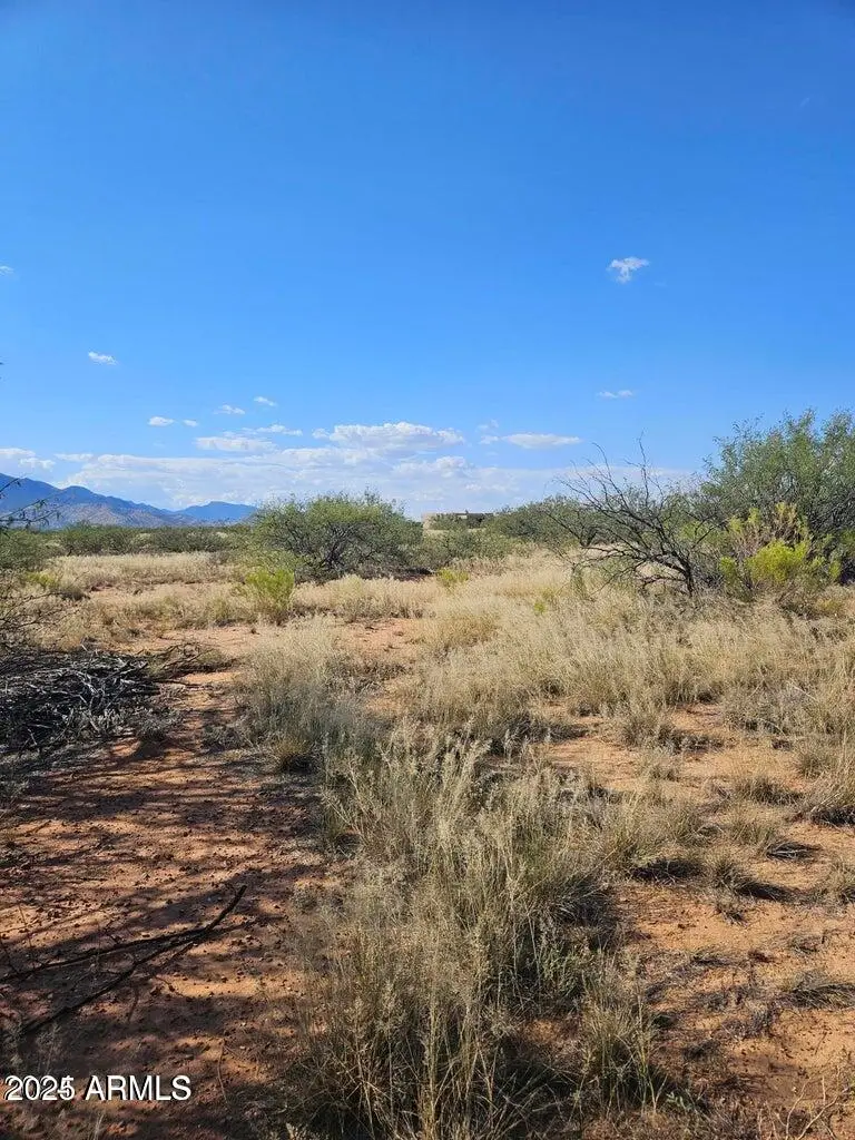 TBD 8 Ac's Off Desert Sumac B Drive #B, Hereford, AZ 85615 - #1