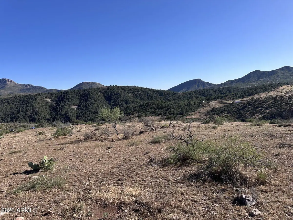 1076 E Horseshoe Springs Road, Globe, AZ 85501 - #1