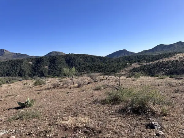 1076 E Horseshoe Springs Road, Globe, AZ 85501